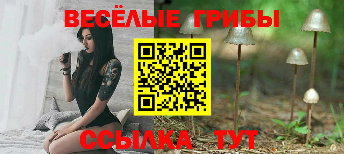 Псилоцибиновые грибы прущие грибы  Вход с VPN  Алапаевск 